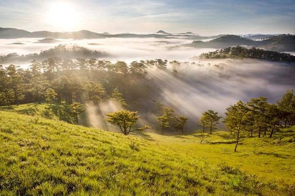 Thành phố Đà Lạt (Lâm Đồng) không chỉ làm mê đắm lòng người với sắc hoa rực rỡ, mà còn bởi cảnh sắc thiên nhiên tuyệt đẹp. Còn gì lãng mạn hơn là vào mỗi buổi sáng sớm, được chiêm ngưỡng những ánh nắng trong vắt, xuyên qua biển mây bồng bềnh. Ảnh: Long Quang Le.