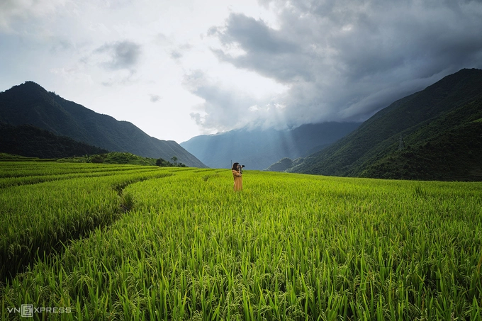 Mây phủ trên những thửa ruộng bậc thang Tây Bắc trong mùa xuân.