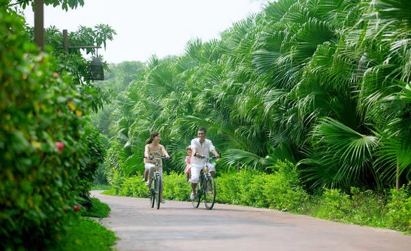 Thuê chiếc xe đạp là bạn có thể thong dong đi dạo khắp quanh khu resort. Thuê chiếc xe đạp là bạn có thể thong dong đi dạo khắp quanh khu resort.