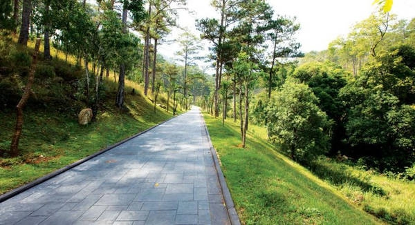 Hãy đi dạo trên những con đường nhỏ xanh mướt hai hàng cây, hít hà bầu không khí trong lành, mát lạnh và cảm nhận một cuộc sống thật chậm, thật khác, thật sâu lắng và yên bình. Hãy đi dạo trên những con đường nhỏ xanh mướt hai hàng cây, hít hà bầu không khí trong lành, mát lạnh và cảm nhận một cuộc sống thật chậm, thật khác, thật sâu lắng và yên bình.