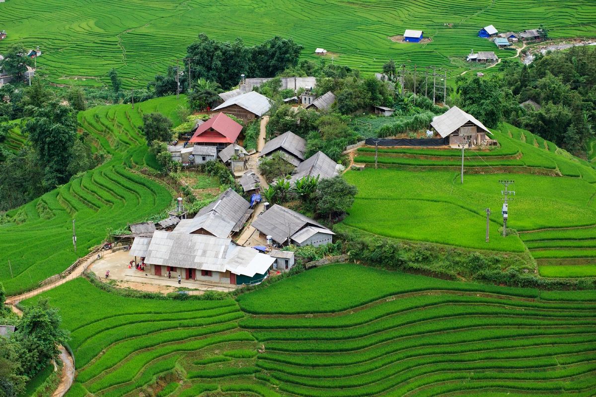 Thung lũng Mường Hoa  Nơi đây được ví như thiên đường của “hoa sương và nắng” nên du khách sẽ có cảm giác như đứng giữa ranh giới tới thiên đường. Trên những con đường ngoằn ngoèo dẫn đến thung lũng, du khách có thể ngắm những rừng thông xanh, rừng mận buông hoa rực rỡ, hay núi đồi trập trùng, nếp nhà bình yên sau làn sương mờ. Ảnh: The South Wind/Shutterstock.