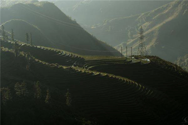 Những thửa ruộng bậc thang Sapa có từ hàng trăm năm nay được tạo nên do những đôi bàn tay cần mẫn của những người dân tộc Dao, H'Mông,…