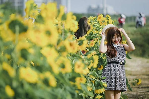 sau-da-lat-va-nghe-an-cuoi-cung-thi-gioi-tre-da-nang-cung-da-co-vuon-huong-duong-de-chup-hinh-ivivu-12