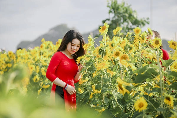 sau-da-lat-va-nghe-an-cuoi-cung-thi-gioi-tre-da-nang-cung-da-co-vuon-huong-duong-de-chup-hinh-ivivu-15