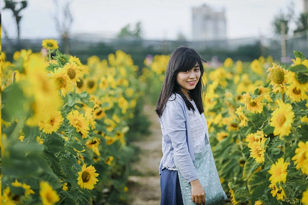 sau-da-lat-va-nghe-an-cuoi-cung-thi-gioi-tre-da-nang-cung-da-co-vuon-huong-duong-de-chup-hinh-ivivu-2