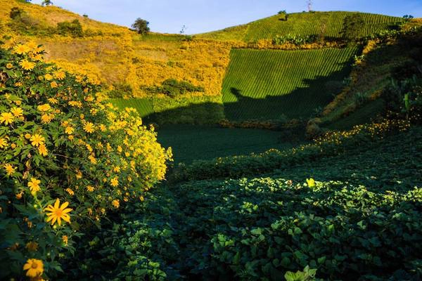 Ảnh: dulichpleiku.gialai.gov.vn