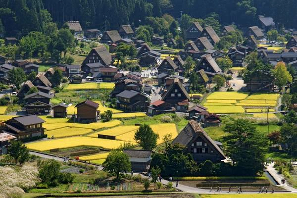 Làng cổ Shirakawa-go nằm ở chân núi Haku-san, tỉnh Gifu, miền Trung Nhật Bản, được UNESCO công nhận là di sản văn thế giới năm 1995. Ảnh: Tokyoromfinder.