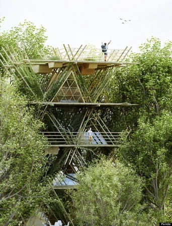 Khách sạn Penda Treetop