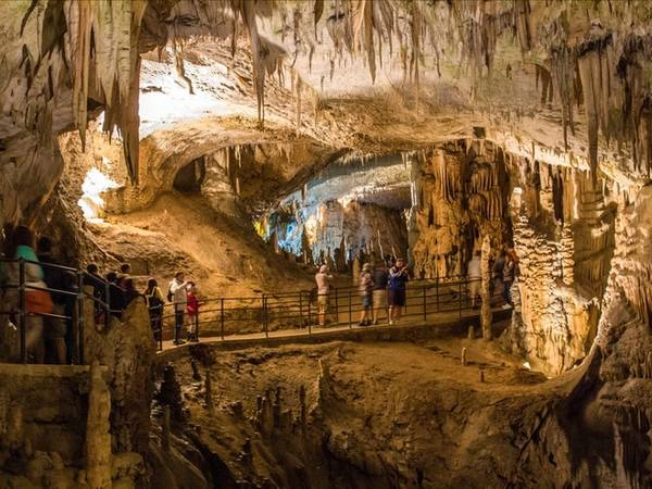  Hang Postojnska: Đến nơi, bạn sẽ thấy không địa điểm nào có cảnh đẹp kỳ ảo và lạ lùng như trong hang Postojnska, Slovenia. Hang dài tới 24 km, phủ đầy các măng đá, nhũ đá. Du khách có thể đến hang và di chuyển bằng tàu trung chuyển mini, sau đó khám phá bằng cách đi bộ hoặc xem một buổi biểu diễn âm nhạc trong hang. Khi ra ngoài, bạn nhớ đến thăm cả lâu đài Predjama, lâu đài trong hang lớn nhất thế giới. 