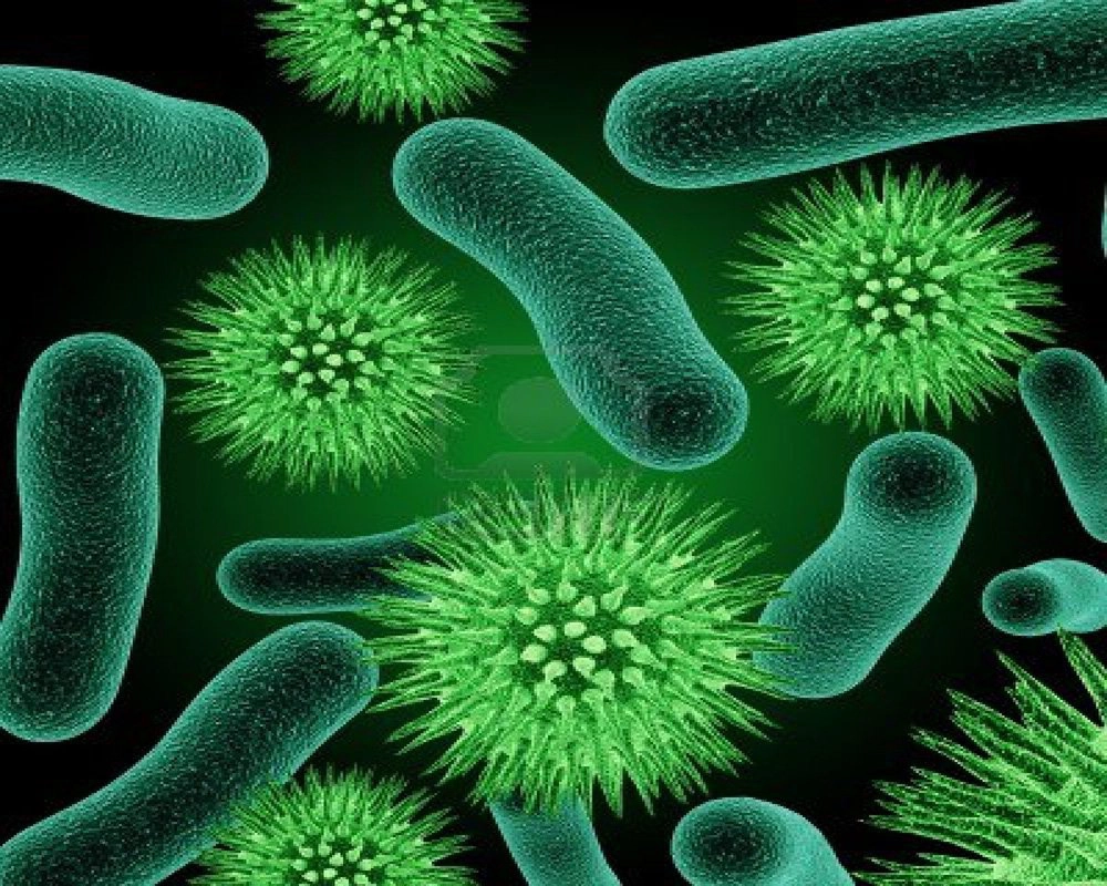 Ho gà là bệnh nhiễm trùng đường hô hấp do vi khuẩn Bordetella pertussis gây ra