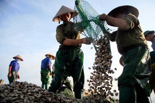 Bãi biển Đồng Châu có khí hậu thật trong lành, thích hợp cho việc nghỉ ngơi, dưỡng bệnh,  đặc biệt hải sản ở đây rất ngon và có giá cả hợp lý. Vì vậy, khám phá cuộc sống miền biển Đồng Châu  là một trải nghiệm không nên bỏ qua khi có dịp đến tỉnh Thái Bình.