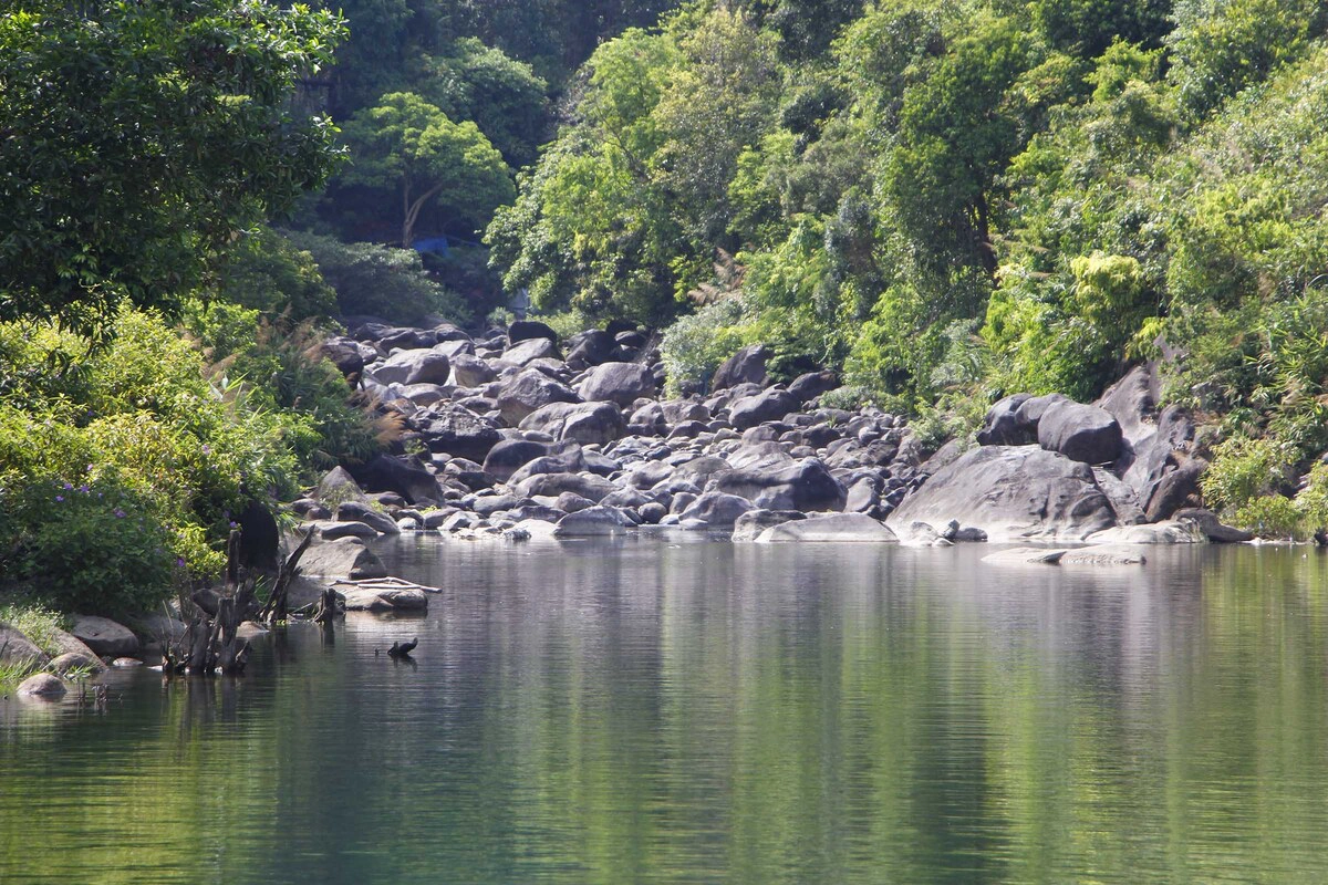   Đến đây, du khách không chỉ được đắm mình trong làn nước trong xanh, mát lạnh mà còn tận mắt chứng kiến những đàn cá xanh suối, từng đàn bướm đủ màu khoe sắc, nhiều loại chuồn chuồn sặc sỡ dạn dĩ quyến luyến và đậu trên tay người.