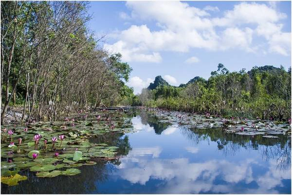 Suối Yến Vĩ (suối Yến) chảy quanh khu di tích và danh thắng Hương Sơn (chùa Hương) thuộc huyện Mỹ Đức, Hà Nội, cách trung tâm thủ đô khoảng 60 km theo quốc lộ 21B.