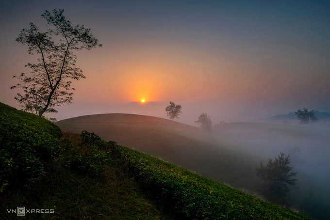 Bình minh là thời điểm đẹp nhất để chụp ảnh đồi chè, lúc này sương bay là là và còn đọng trên lá tạo nên khung cảnh như thực như mơ.