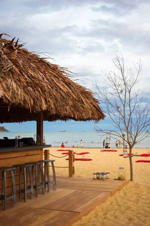 Quán chỉ vỏn vẹn một quầy bar ngay lối vào, phần lớn nhường lại khoảng không cho những chỗ ngồi ngoài trời với bộ bàn ghế gỗ đơn giản. Quán chỉ vỏn vẹn một quầy bar ngay lối vào, phần lớn nhường lại khoảng không cho những chỗ ngồi ngoài trời với bộ bàn ghế gỗ đơn giản.