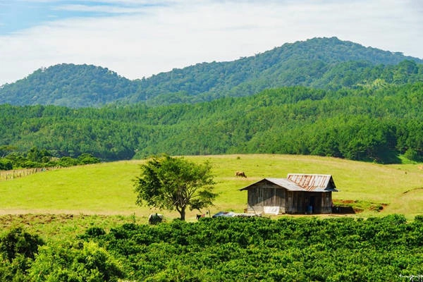 Cung trek dài 55km và đi xuyên qua 3 tỉnh Lâm Đồng, Ninh Thuận và Bình Thuận. Ảnh: Phạm Văn Tùng 