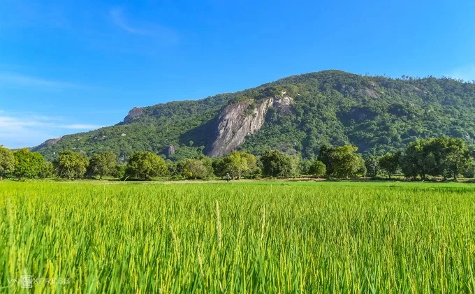 Cánh đồng Tà Pạ nằm dưới chân núi Tà Pạ và Cô Tô (ảnh). Nơi này thuộc vùng Thất Sơn – bảy ngọn núi ở đồng bằng miền Tây Nam Bộ, trên địa phận hai huyện Tri Tôn và Tịnh Biên.