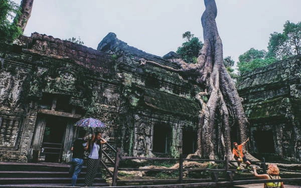 Một góc Ta Prohm - Ảnh: Mai Hương