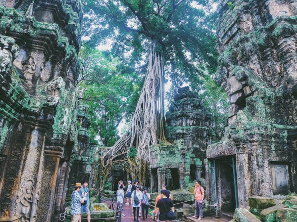 Vẻ hoang tàn đầy ma mị của Ta Prohm