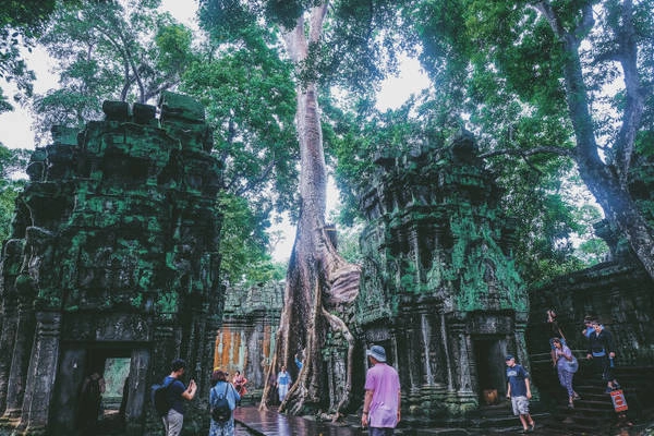 Một góc độc đáo tại đền Ta Prohm