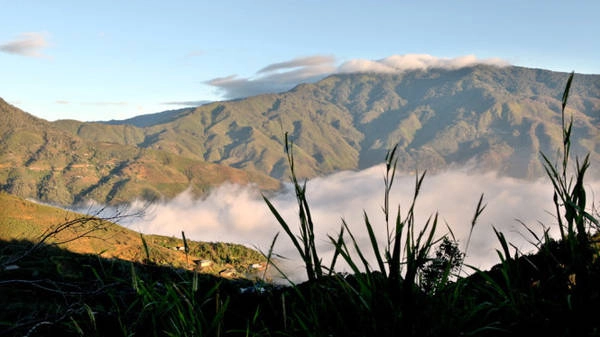 Thiên đường mây Tà Xùa - Ảnh: Giang Nguyên