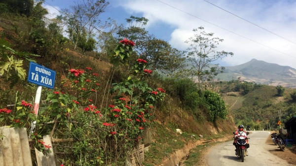 Rực rỡ trạng nguyên - Ảnh: Giang Nguyên