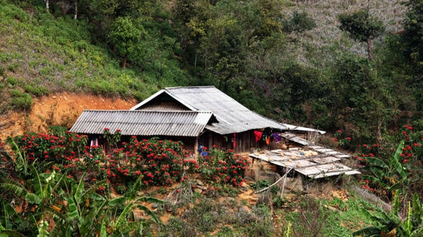 Nhà hoa - Ảnh: Giang Nguyên