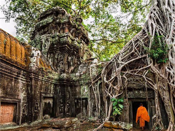 Ta Prohm là một trong những ngôi đền được nhiều du khách chụp ảnh nhất và điều kì diệu là ngôi đền gần như bị “nuốt chửng” bởi rễ cây.