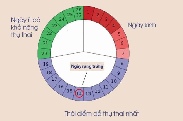 thời điểm rụng trứng