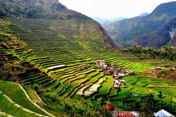 Những thửa ruộng bậc thang hùng vĩ. Ảnh: thenextescape.net Những thửa ruộng bậc thang hùng vĩ. Ảnh: thenextescape.net