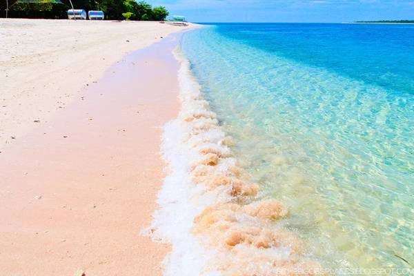 Bãi biển có màu hồng đặc biệt ở Great Santa Cruz. Ảnh: schergoesplaces.blogspot.com Bãi biển có màu hồng đặc biệt ở Great Santa Cruz. Ảnh: schergoesplaces.blogspot.com