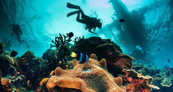 Những rặng san hô màu sắc rực rỡ ngoài khơi của Philippines luôn kích thích sự tò mò của du khách tới khám phá. Ảnh: remotelands.com Những rặng san hô màu sắc rực rỡ ngoài khơi của Philippines luôn kích thích sự tò mò của du khách tới khám phá. Ảnh: remotelands.com