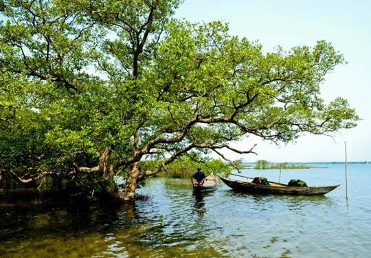 Người dân Tam Hải sống chủ yếu bằng nghề giăng câu, thả lưới. Ảnh: Hải Hoàng Người dân Tam Hải sống chủ yếu bằng nghề giăng câu, thả lưới. Ảnh: Hải Hoàng