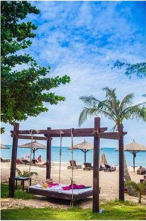 arcadia-phu-quoc-ivivu-8