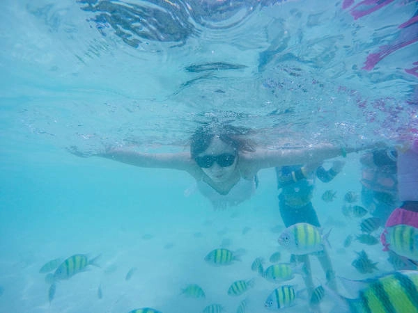 Điểm đặc biệt ở Coral là có rất nhiều cá sọc bơi lội sát bờ biển. Chỉ cần đứng gần bờ bạn cũng có thể chơi đùa cùng đàn cá sọc tuyệt đẹp. Ảnh: Mai Hương