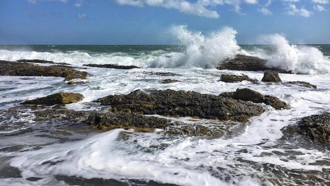 Có lẽ nơi tảo dulse phổ biến nhất là ở thị trấn Ballycastel, cực bắc của Ireland, cách Scotland là biển Moyle. Kể từ năm 1606, vào mỗi tháng 8, thị trấn lại tổ chức hội chợ Auld Lammas đánh dấu mùa hè kết thúc, các gia đình Ireland tới đây mua bán tảo dulse và bánh bơ. Như nhiều đứa trẻ Ballycastle khác, Liam McBride lớn lên với tuổi thơ là các đợt thu hoạch tảo dulse cùng cha. Khi bị ốm, mẹ anh thường luộc tảo dulse, rêu carragen và các loại rong biển khác làm trà uống và cả nước tắm để chữa từ cảm cúm tới phát ban. Nguồn dược liệu tự nhiên từ rong rêu, tảo biển là những gì các gia đình ở đây truyền lại cho thế hệ sau. Thực tế vào đầu thế kỷ 20, có khoảng 300 nhà tắm rong biển nằm ở khắp Ireland. Năm 2016, McBride mở cửa nhà tắm Sea Haven Therapy ở miền bắc Ireland. "Chúng tôi đã bỏ quên các lợi ích của rong, tảo biển từ khá lâu. Và bây giờ chúng tôi đang bắt đầu trở lại khai thác chúng", theo McBride. Có lẽ nơi tảo dulse phổ biến nhất là ở thị trấn Ballycastel, cực bắc của Ireland, cách Scotland là biển Moyle. Kể từ năm 1606, vào mỗi tháng 8, thị trấn lại tổ chức hội chợ Auld Lammas đánh dấu mùa hè kết thúc, các gia đình Ireland tới đây mua bán tảo dulse và bánh bơ. Như nhiều đứa trẻ Ballycastle khác, Liam McBride lớn lên với tuổi thơ là các đợt thu hoạch tảo dulse cùng cha. Khi bị ốm, mẹ anh thường luộc tảo dulse, rêu carragen và các loại rong biển khác làm trà uống và cả nước tắm để chữa từ cảm cúm tới phát ban. Nguồn dược liệu tự nhiên từ rong rêu, tảo biển là những gì các gia đình ở đây truyền lại cho thế hệ sau. Thực tế vào đầu thế kỷ 20, có khoảng 300 nhà tắm rong biển nằm ở khắp Ireland. Năm 2016, McBride mở cửa nhà tắm Sea Haven Therapy ở miền bắc Ireland. "Chúng tôi đã bỏ quên các lợi ích của rong, tảo biển từ khá lâu. Và bây giờ chúng tôi đang bắt đầu trở lại khai thác chúng", theo McBride.