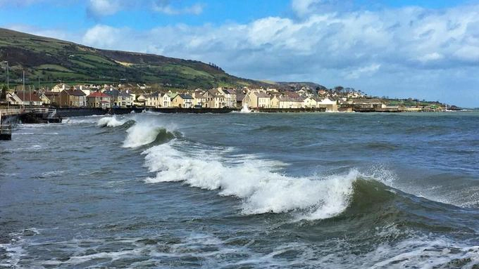 Như nhiều đứa trẻ khác ở Ireland, Gollian Thompson ăn tảo dulse và kẹo bơ từ bé. Cô biết đàn ông thu hoạch loại tảo này vào mỗi mùa hè để lấy tiền uống bia nhưng cô không nghĩ đó là món tốt cho sức khỏe. Năm 2005, cô chuyển tới sống trong một căn nhà nhỏ ven biển ở ngoại ô Carnlough và nhanh chóng biết được bờ biển dài 3.171 km của đảo Emerald là nơi có tới 501 loài tảo, nhiều loài không chỉ ăn được mà còn rất giàu dinh dưỡng. Một năm sau, cô mở công ty Irish Seaweed khai thác và bán tảo biển. Như nhiều đứa trẻ khác ở Ireland, Gollian Thompson ăn tảo dulse và kẹo bơ từ bé. Cô biết đàn ông thu hoạch loại tảo này vào mỗi mùa hè để lấy tiền uống bia nhưng cô không nghĩ đó là món tốt cho sức khỏe. Năm 2005, cô chuyển tới sống trong một căn nhà nhỏ ven biển ở ngoại ô Carnlough và nhanh chóng biết được bờ biển dài 3.171 km của đảo Emerald là nơi có tới 501 loài tảo, nhiều loài không chỉ ăn được mà còn rất giàu dinh dưỡng. Một năm sau, cô mở công ty Irish Seaweed khai thác và bán tảo biển.