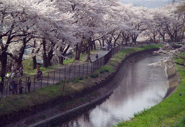 du lịch Nhật Bản, du lịch Tokyo, quận Sumida, tháp truyền hình Tokyo Sky Tree nhatban-ivivu-4