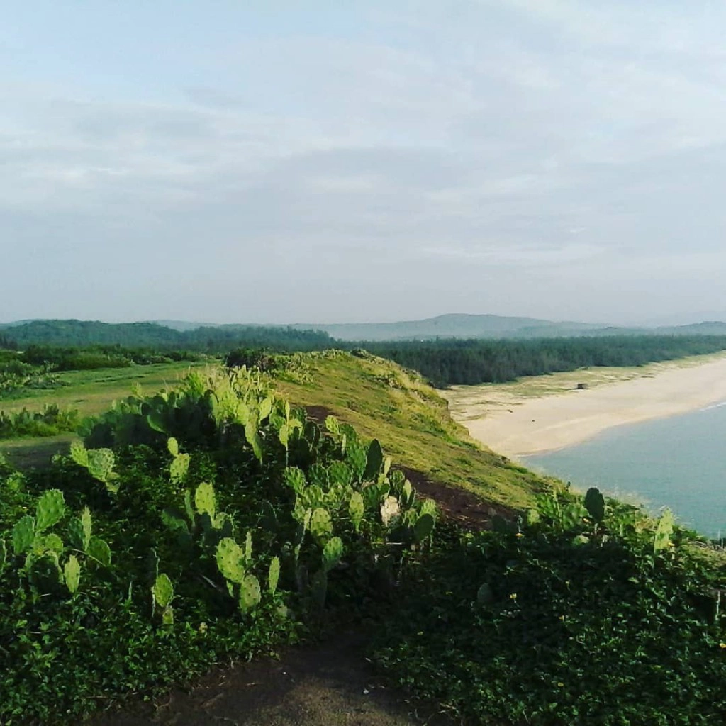 Bãi Xép nổi tiếng với những cảnh quay trong "Tôi thấy hoa vàng trên cỏ xanh" - @vinhquangnguyentran Bãi Xép nổi tiếng với những cảnh quay trong "Tôi thấy hoa vàng trên cỏ xanh" - @vinhquangnguyentran