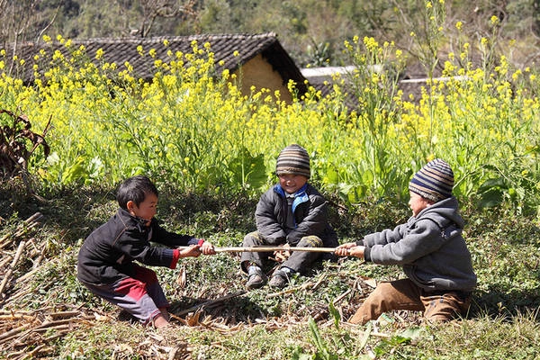 Những trò đùa đôi khi chỉ xuất phát từ cây cỏ cũng đủ cho những đứa trẻ cười đùa khoái chí, vang vọng một vùng. Những trò đùa đôi khi chỉ xuất phát từ cây cỏ cũng đủ cho những đứa trẻ cười đùa khoái chí, vang vọng một vùng.