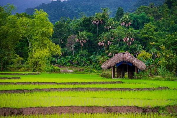 Dưới một thung lũng.