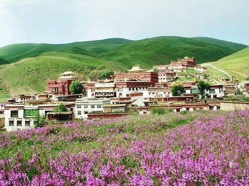 Nơi đây còn có chùa Ke'er của Hoàng Giáo, chùa Lenggu của Bạch Giáo, có lễ hội đua ngựa truyền thống, còn có "Công viên Bạch Tháp" đầu tiên của Tây Tạng với sự kết hợp kỳ diệu giữa kỹ thuật kiến trúc hiện đại và những đường nét mỹ thuật dân tộc đặc sắc. Nơi đây còn có chùa Ke'er của Hoàng Giáo, chùa Lenggu của Bạch Giáo, có lễ hội đua ngựa truyền thống, còn có "Công viên Bạch Tháp" đầu tiên của Tây Tạng với sự kết hợp kỳ diệu giữa kỹ thuật kiến trúc hiện đại và những đường nét mỹ thuật dân tộc đặc sắc.