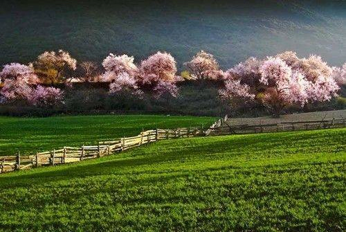Nằm ở phía Đông Nam, là nơi tiếp nối giữa núi Nyainqntanglha và dãy Himalaya. Nơi đây được bao bọc bởi núi tuyết, là sông băng dạng đại dương lớn nhất Trung Quốc - cội nguồn của sông băng Kaqin. Nằm ở phía Đông Nam, là nơi tiếp nối giữa núi Nyainqntanglha và dãy Himalaya. Nơi đây được bao bọc bởi núi tuyết, là sông băng dạng đại dương lớn nhất Trung Quốc - cội nguồn của sông băng Kaqin.