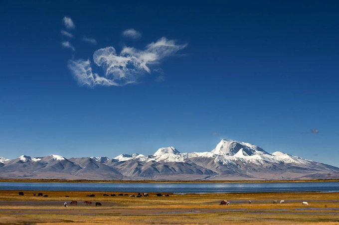 Hồ Manasarovar  Hồ nước thiêng liêng nhất với người Tây Tạng là Manasarovar, nằm ở độ cao 4.590 m, thuộc vùng viễn tây gần núi Kailash. Đây là một trong những hồ nước ngọt cao nhất hành tinh, với tầm nhìn bao quát dãy Himalaya ở phía nam, trong đó có đỉnh Mandhata hùng vĩ cao 7.694 m. Ảnh: The Land Of Snows.