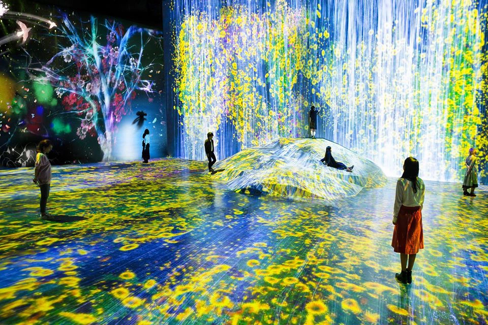 Ảnh: teamLab