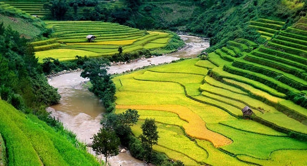 tet-nay-tham-7-thung-lung-dep-nhu-tranh-o-viet-nam-ivivu-1