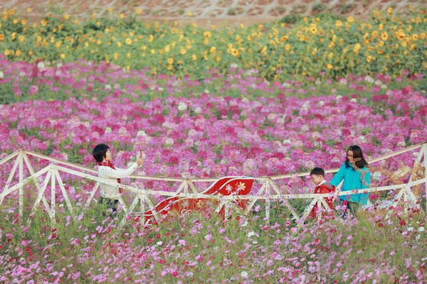 tet-nay-tham-7-thung-lung-dep-nhu-tranh-o-viet-nam-ivivu-5