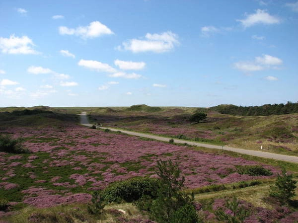 Thiên nhiên quyến rũ ở Texel - Ảnh: wiki Thiên nhiên quyến rũ ở Texel - Ảnh: wiki