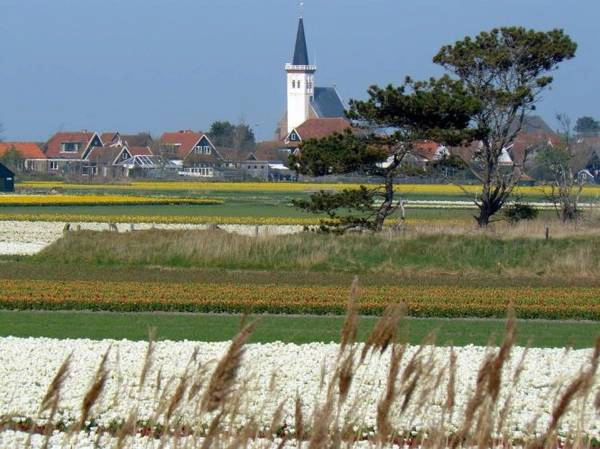 Làng Den Hoorn - Ảnh: texel.net Làng Den Hoorn - Ảnh: texel.net