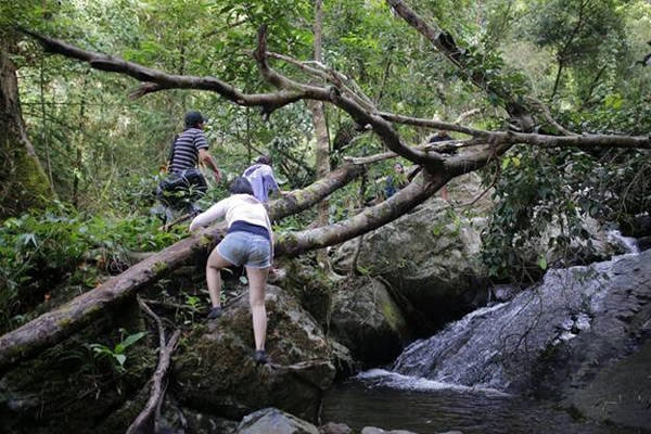 Muốn xuống thác, bạn phải đi bộ quãng đường 1 km. Và muốn qua cả 7 tầng thác, chỉ có cách duy nhất là lội dọc con suối chảy trên những hốc đá lớn. Những ngày mùa khô, dòng nước hiền hòa bao nhiêu thì đến mùa mưa, suối cuồn cuộn chảy xiết bấy nhiêu. Đó chính là lý do bạn nên chọn đi vào mùa khô để hành trình khám phá thác Tà Ngào được trọn vẹn.